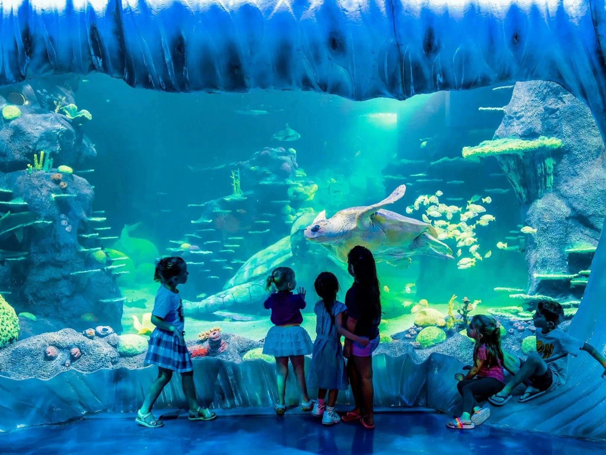 Sea Life Aquarium Entry Ticket: Istanbul 