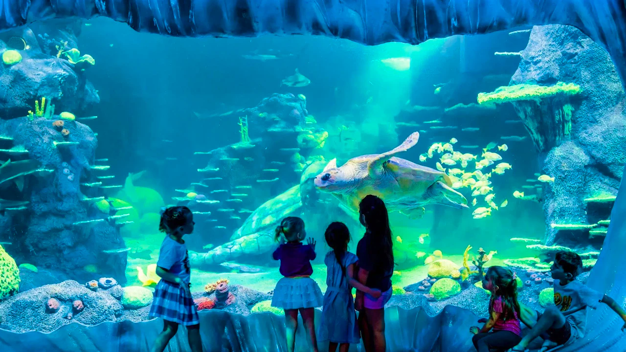 Sea Life Aquarium Entry Ticket: Istanbul