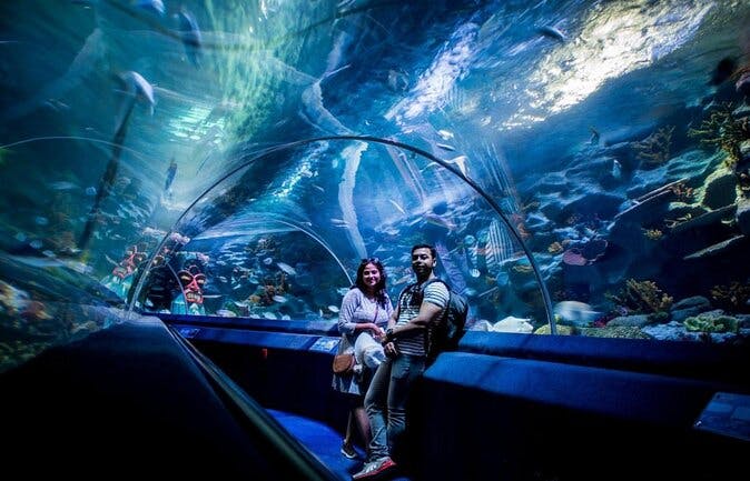 Sea Life Aquarium Istanbul: Entry Ticket Discount
