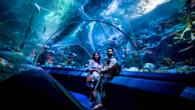 Sea Life Aquarium Istanbul: Entry Ticket Discount