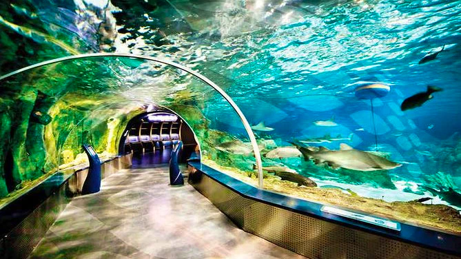 Sea Life Aquarium Istanbul: Entry Ticket Price
