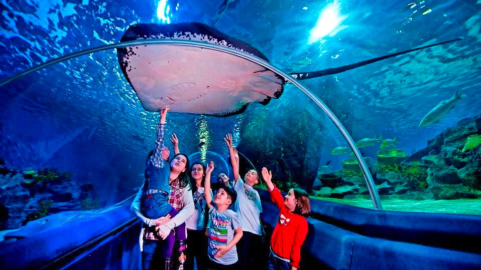 Sea Life Aquarium Istanbul: Entry Ticket