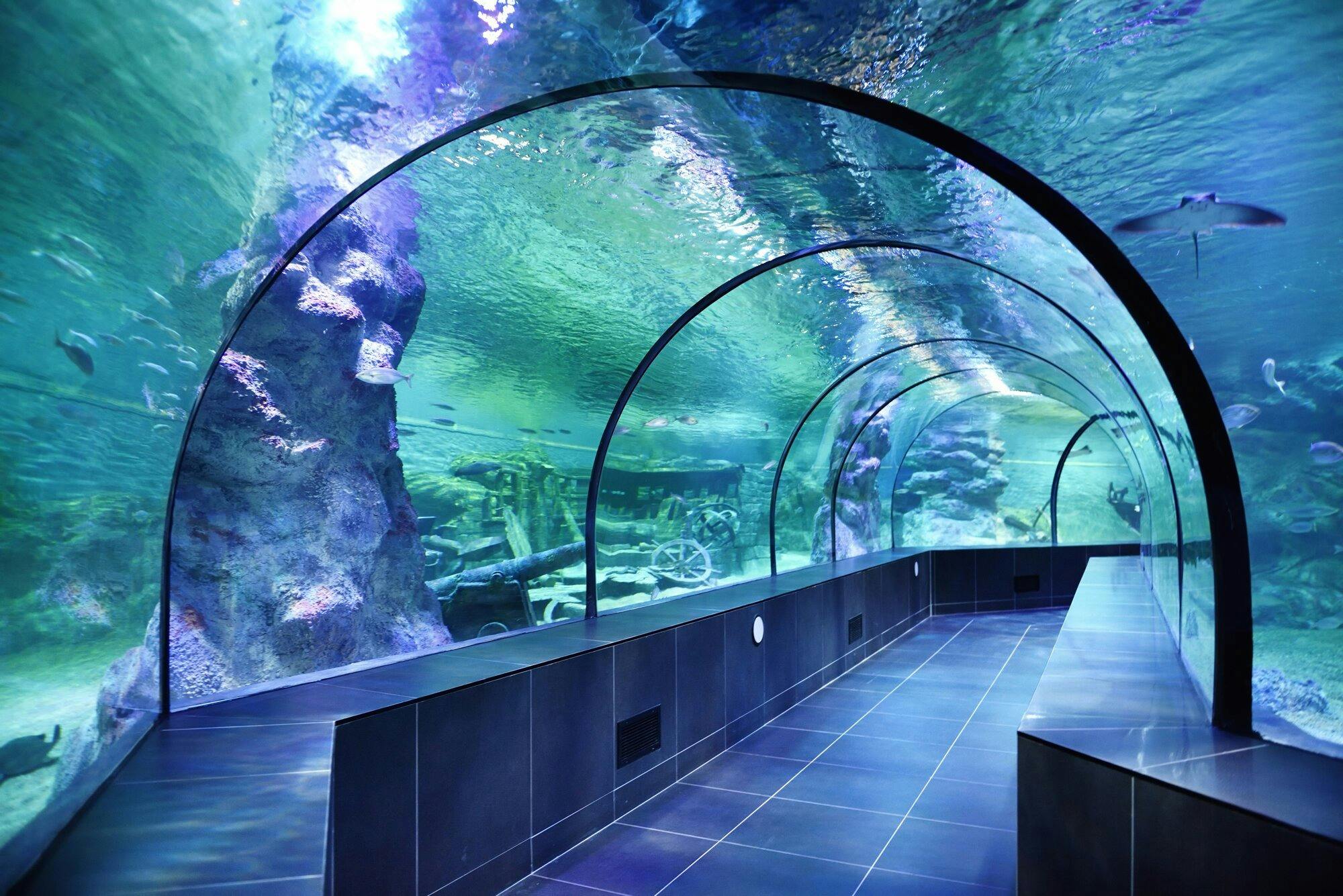 Emaar Aquarium and Underwater Zoo Entry Ticket: Istanbul Thrillark