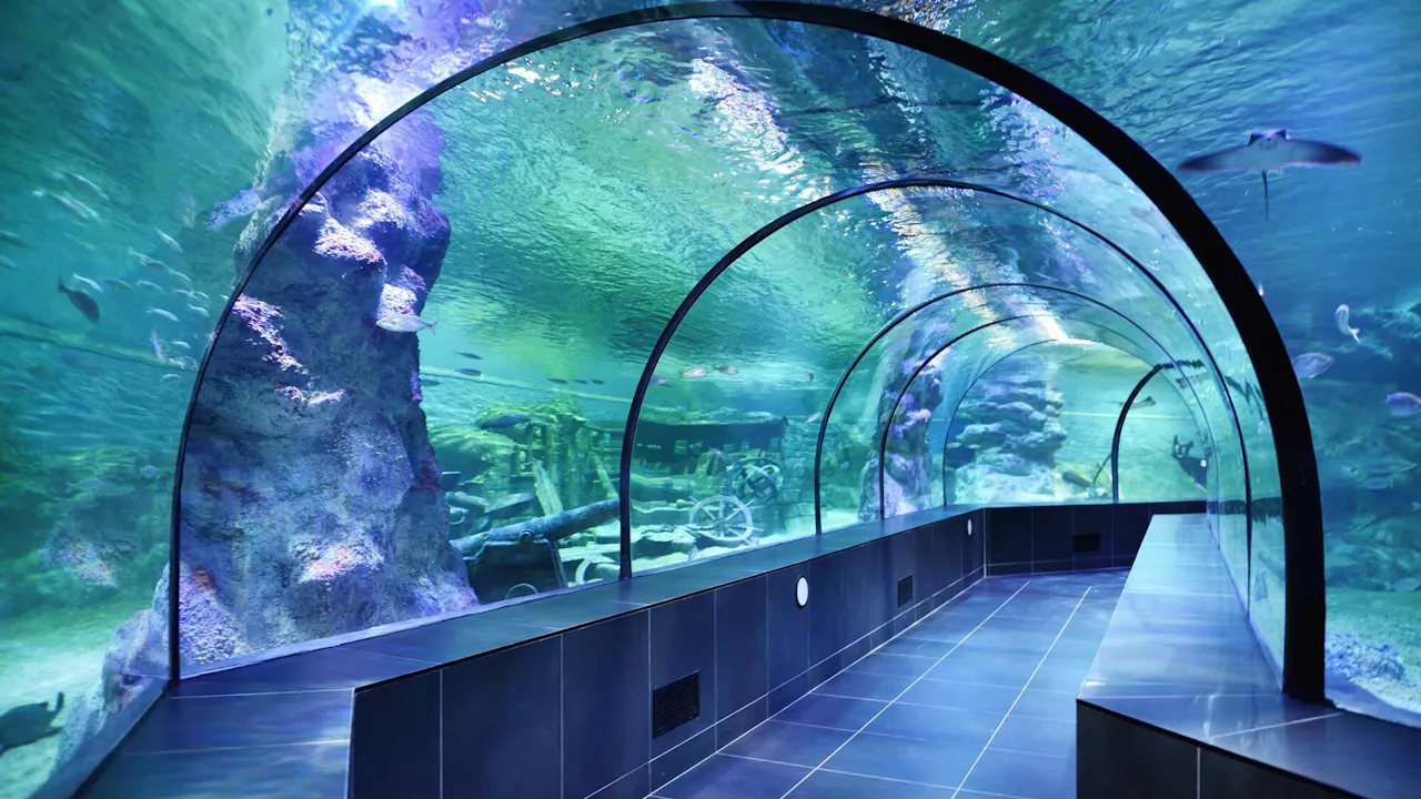 Emaar Aquarium and Underwater Zoo Entry Ticket: Istanbul Thrillark