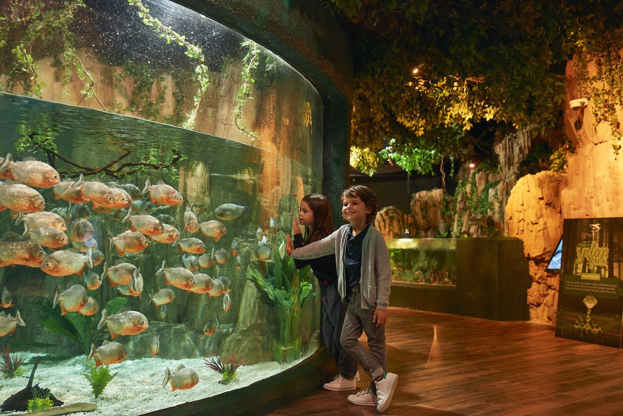 Emaar Aquarium and Underwater Zoo Entry Ticket: Istanbul