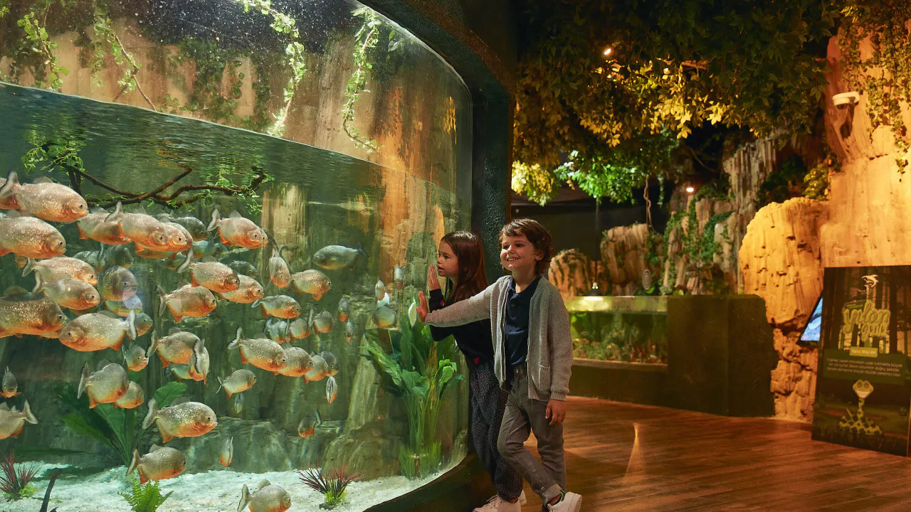Emaar Aquarium and Underwater Zoo Entry Ticket: Istanbul