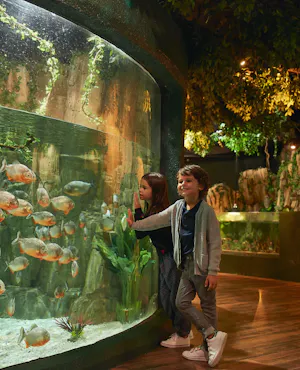Emaar Aquarium and Underwater Zoo Entry Ticket: Istanbul