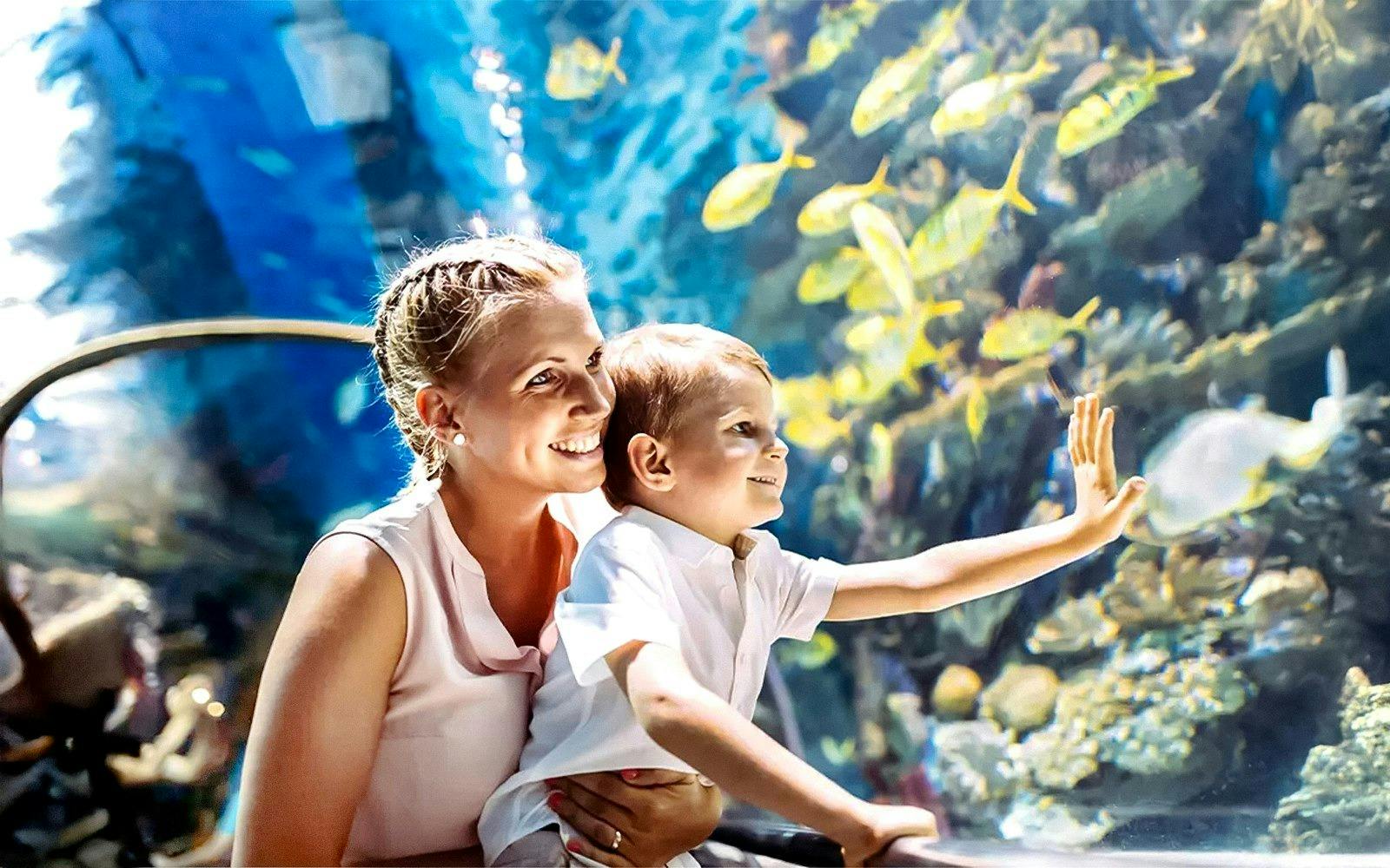 Emaar Aquarium and Underwater Zoo Entry Ticket: Istanbul Location