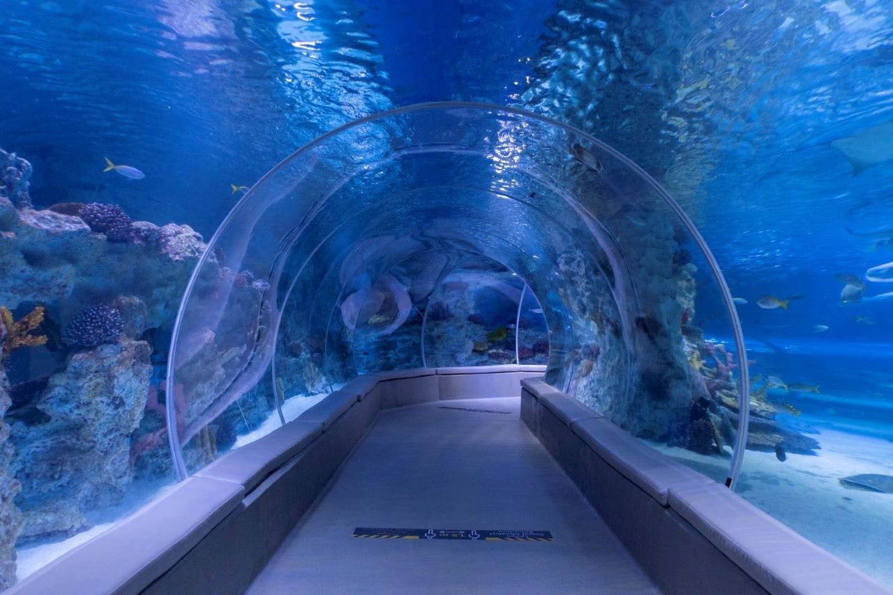Emaar Aquarium and Underwater Zoo Entry Ticket: Istanbul Ticket