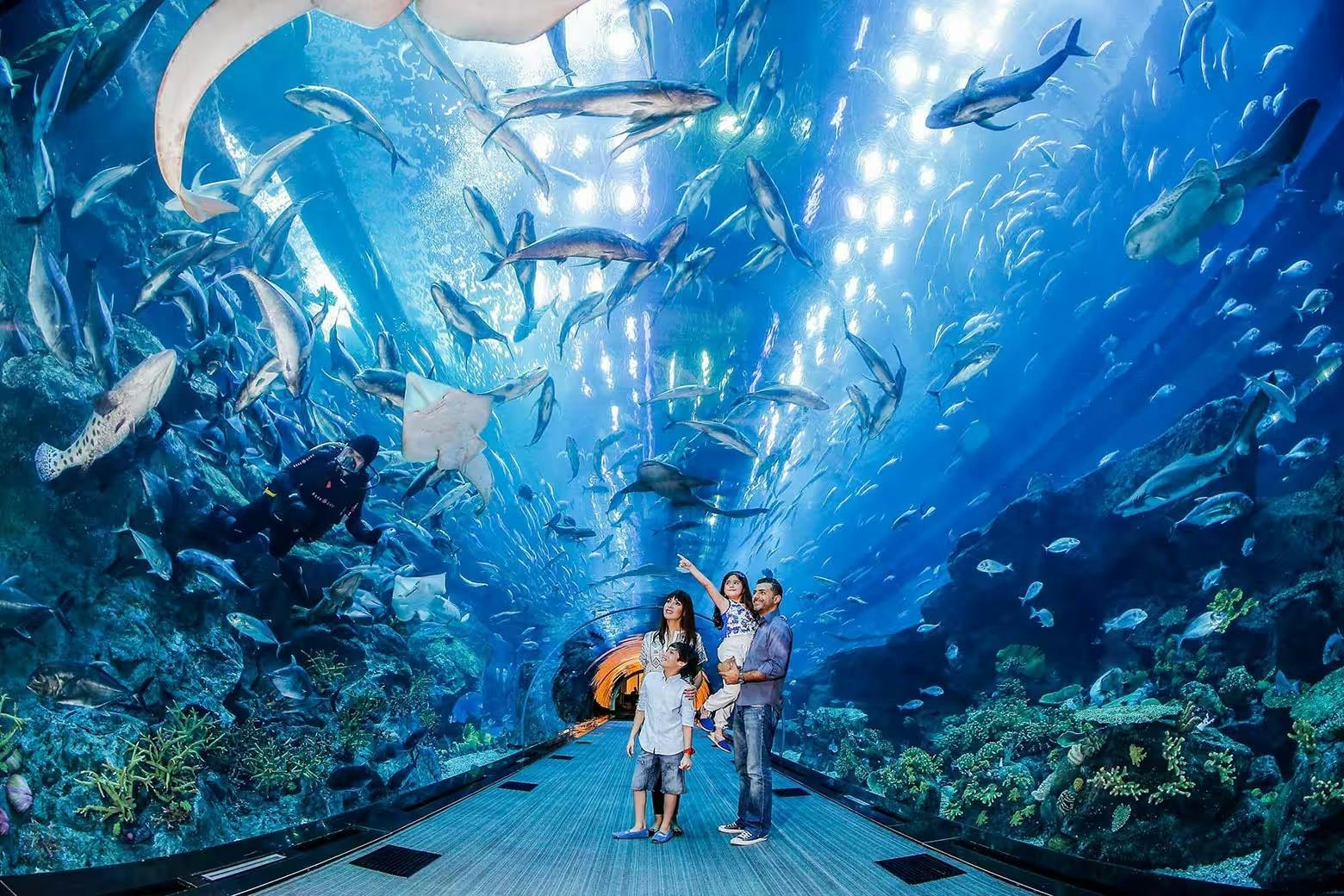 Emaar Aquarium and Underwater Zoo Entry Ticket: Istanbul 
