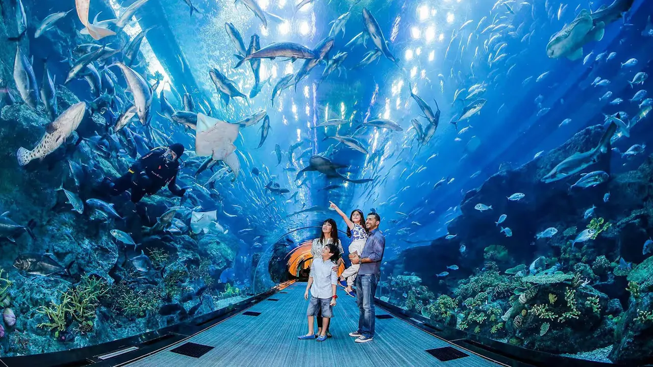 Emaar Aquarium and Underwater Zoo Entry Ticket: Istanbul