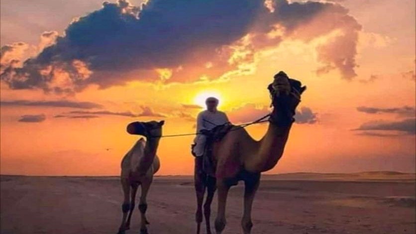 Can-Am 1000 CC Open Desert Experience: Self Drive - Four Seater Ticket