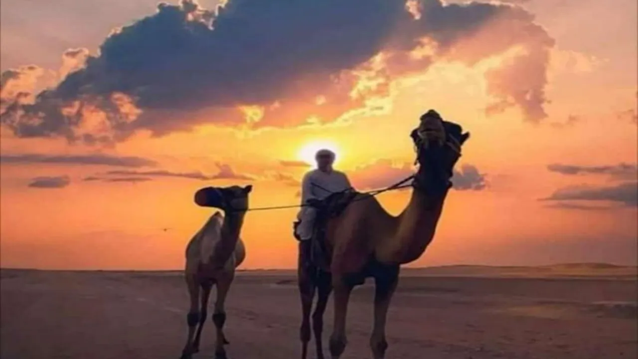 Can-Am 1000 CC Open Desert Experience: Self Drive - Two Seater Ticket