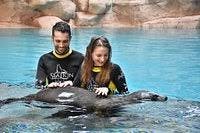 Atlantis Sea Lion Meet & Greet: Non-OTA Ticket