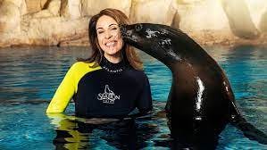 Atlantis Sea Lion Meet & Greet: Non-OTA Price