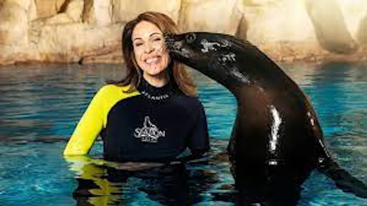 Atlantis Sea Lion Meet & Greet: Non-OTA Price