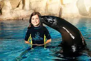 Atlantis Sea Lion Meet & Greet Tour