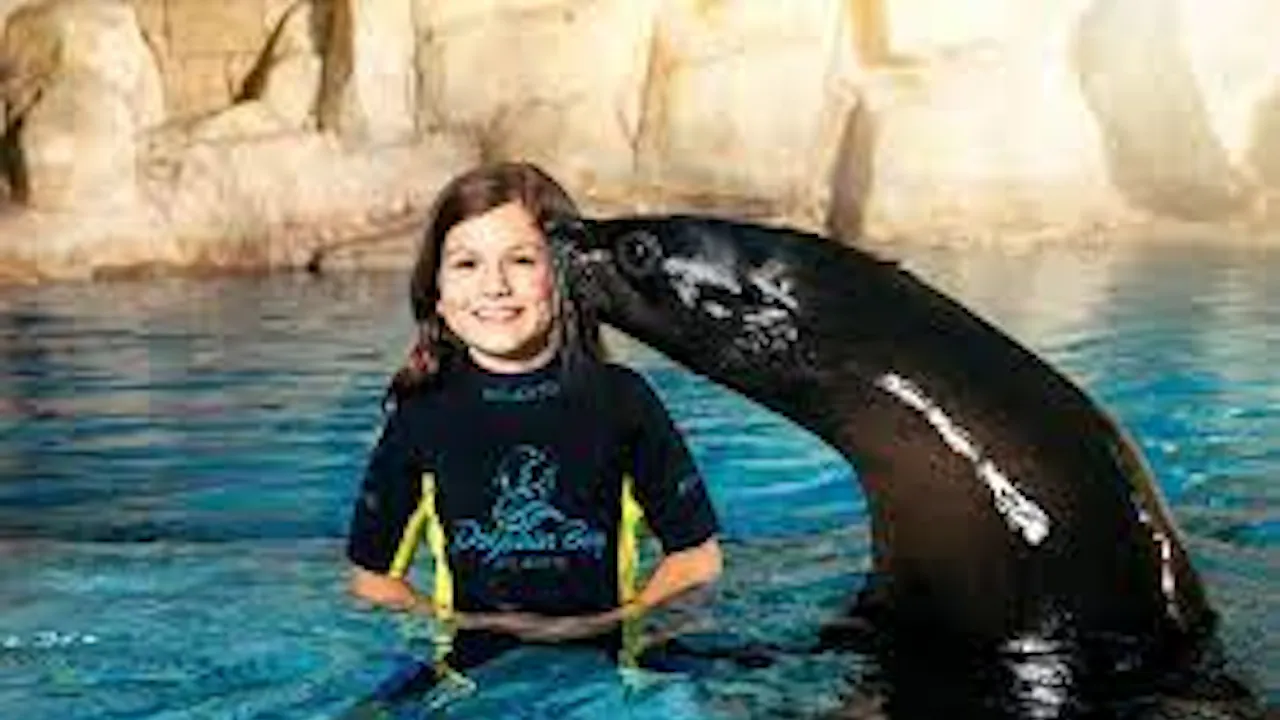 Atlantis Sea Lion Meet & Greet: Non-OTA Location
