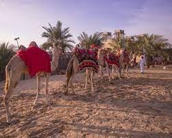 Cobra 400 CC Sport Quad Bike Open Desert Self Drive Experience:30 Minutes Ticket