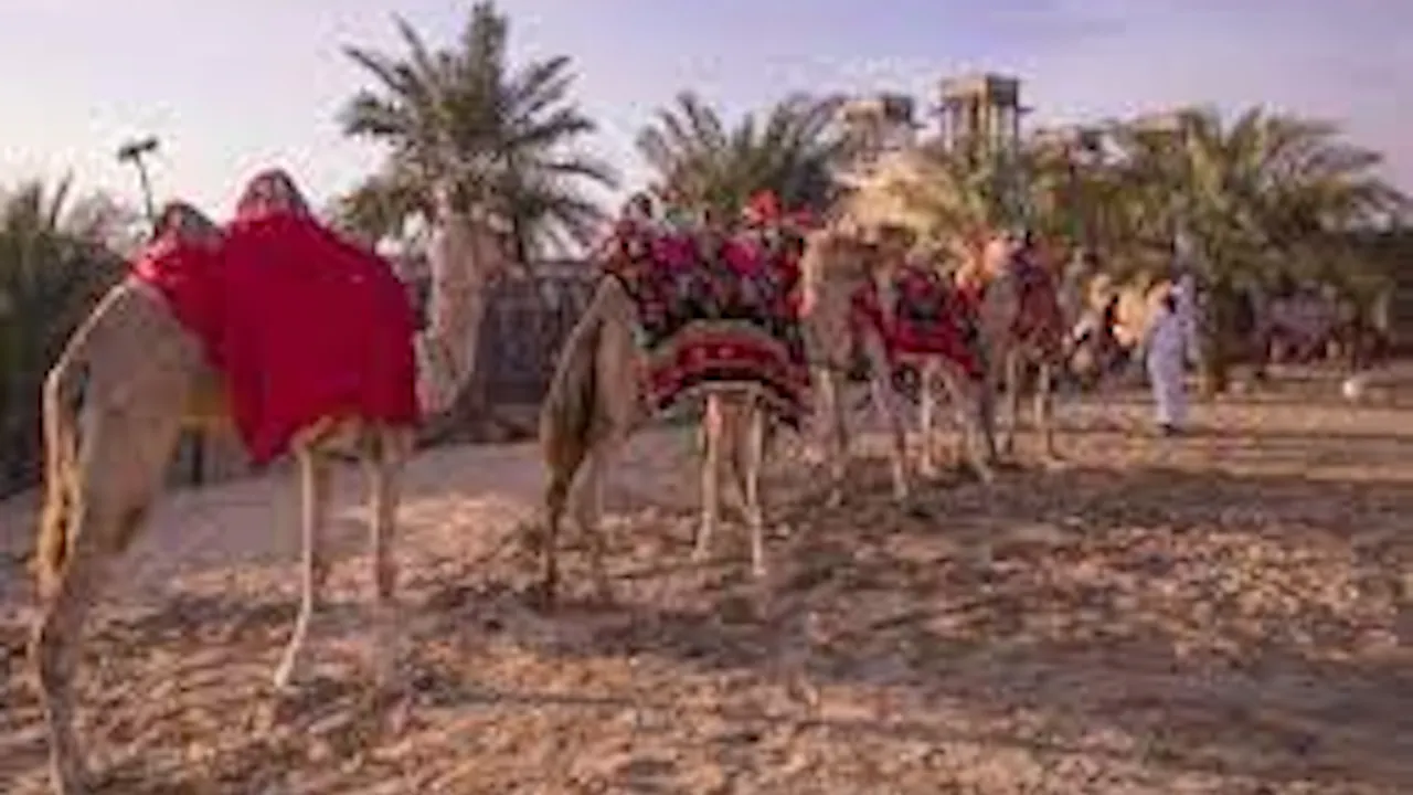 Cobra 400 CC Sport Quad Bike Open Desert Self Drive Experience:30 Minutes Ticket