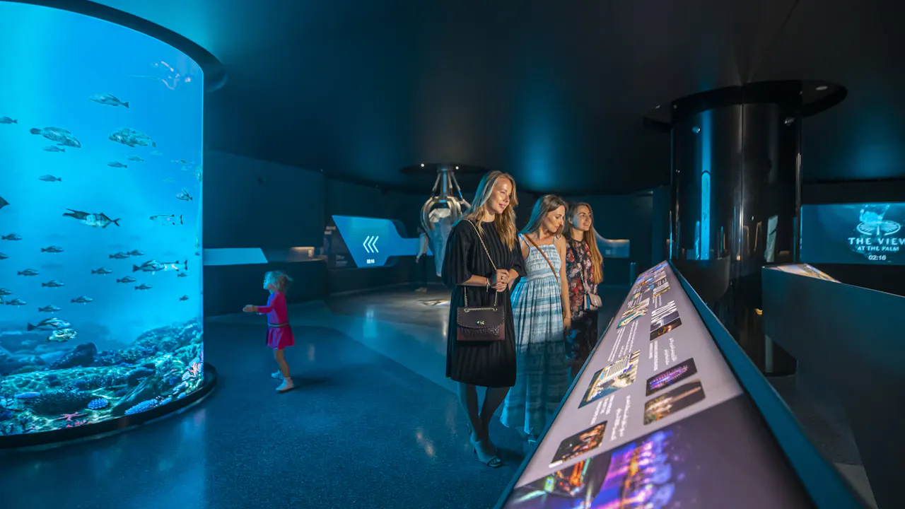 The View at The Palm Tickets: Fast Track Next Level (Level 54) Location