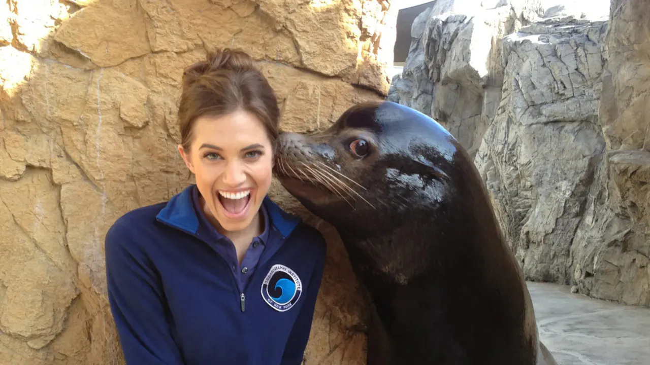 Sea Lion Point- Dip & Play Pass: Dubai Location