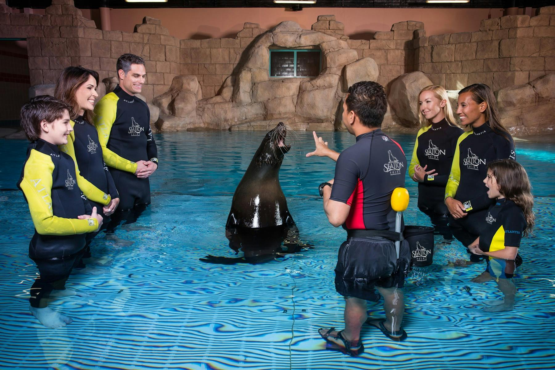 Sea Lion Point- Dip & Play Pass: Dubai  Ticket