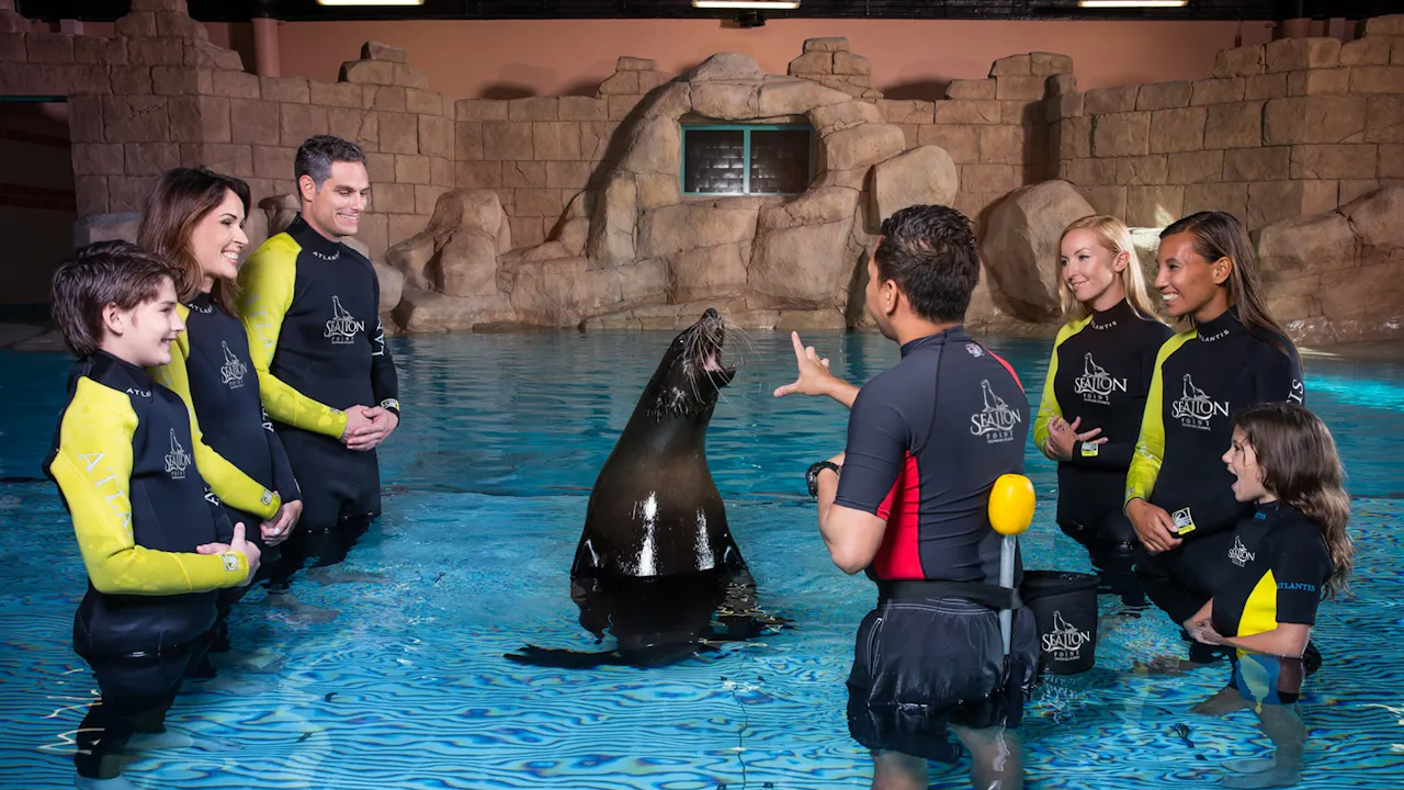 Sea Lion Point- Dip & Play Pass: Dubai Ticket