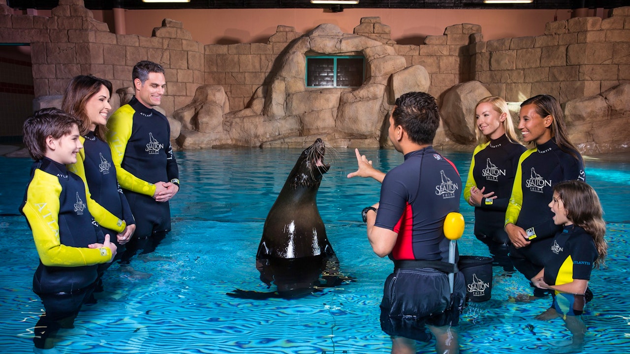 Sea Lion Point- Dip & Play Pass: Dubai  Ticket