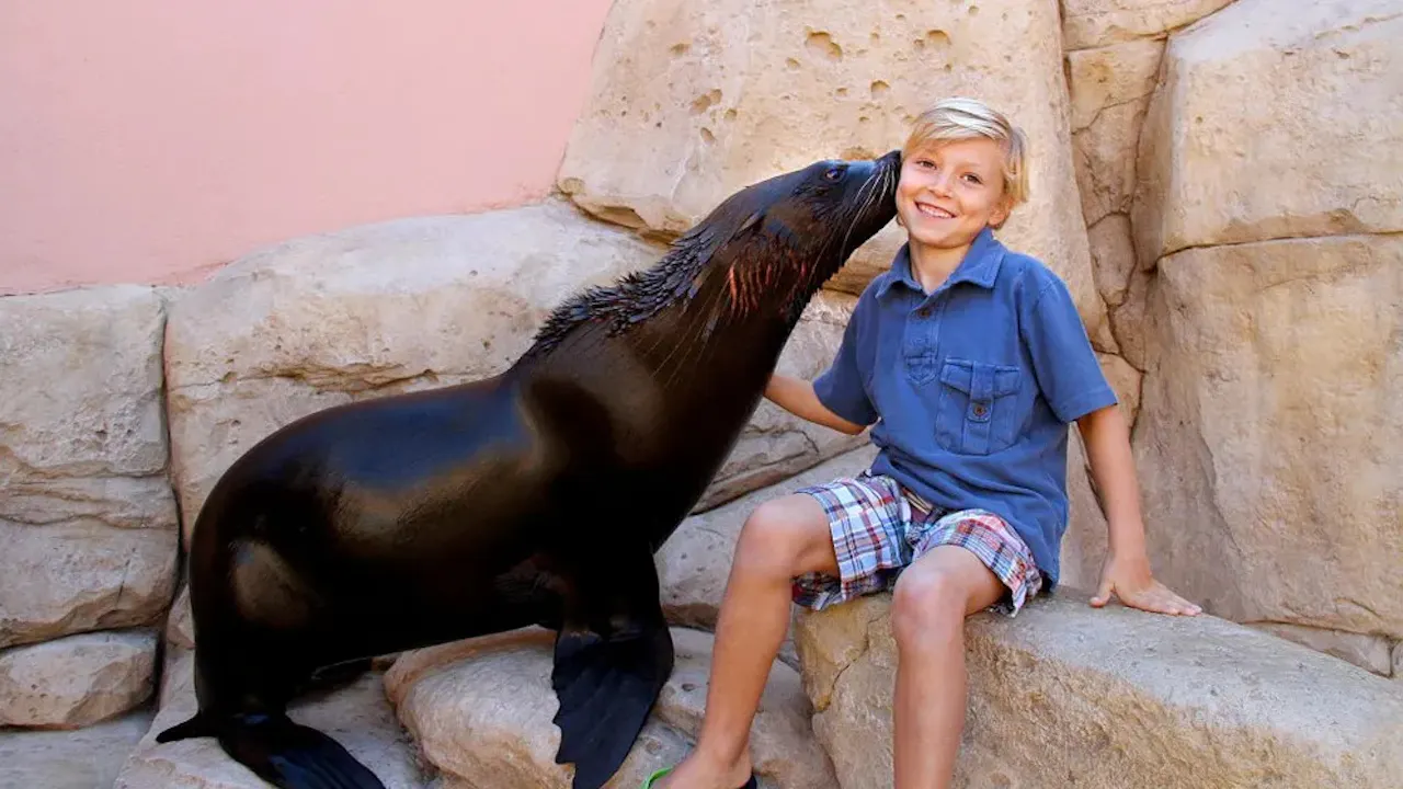 Sea Lion Point- Dip & Play Pass: Dubai Discount