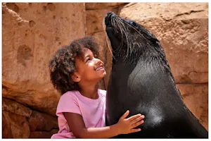 Sea Lion Point: Dip & Play Pass