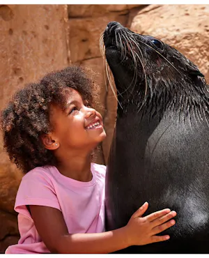 Sea Lion Point: Dip & Play Pass