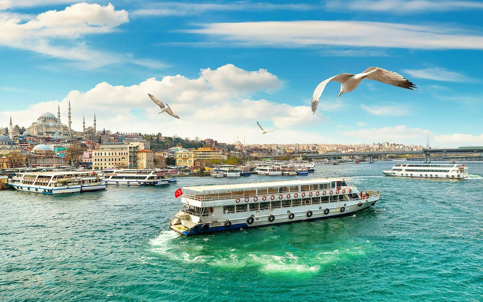 Bosphorus Yacht Tour with Drinks and Snacks 
