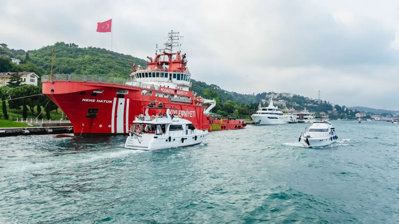 Istanbul Bosphorus Cruise & Audio Guide Price