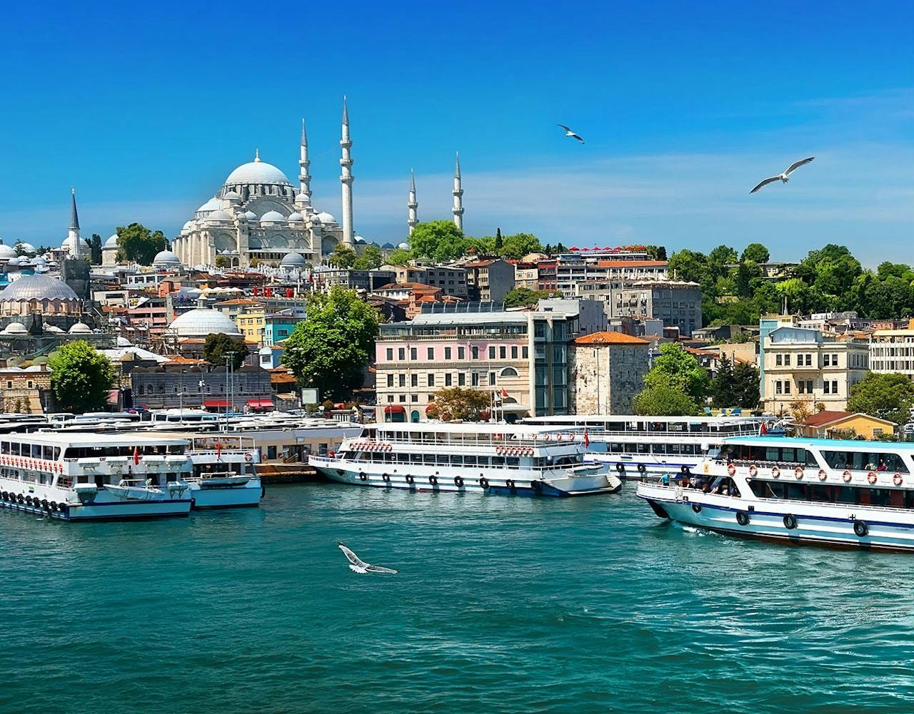 Bosphorus Sightseeing Cruise 