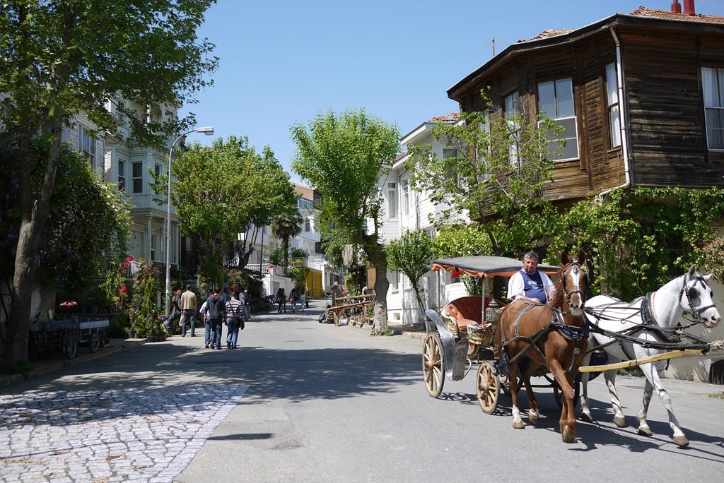 Princes Island Ferry Ticket Round-Trip Ticket