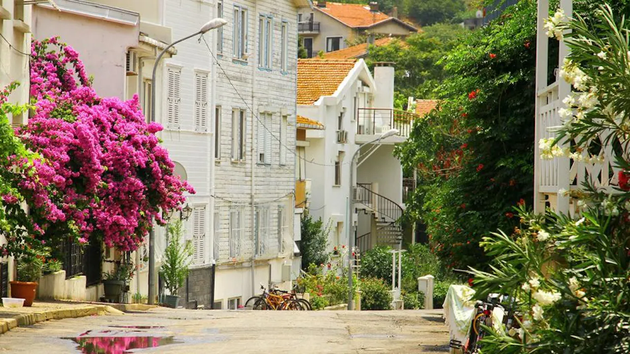 Princes Island Ferry Ticket Round-Trip Price