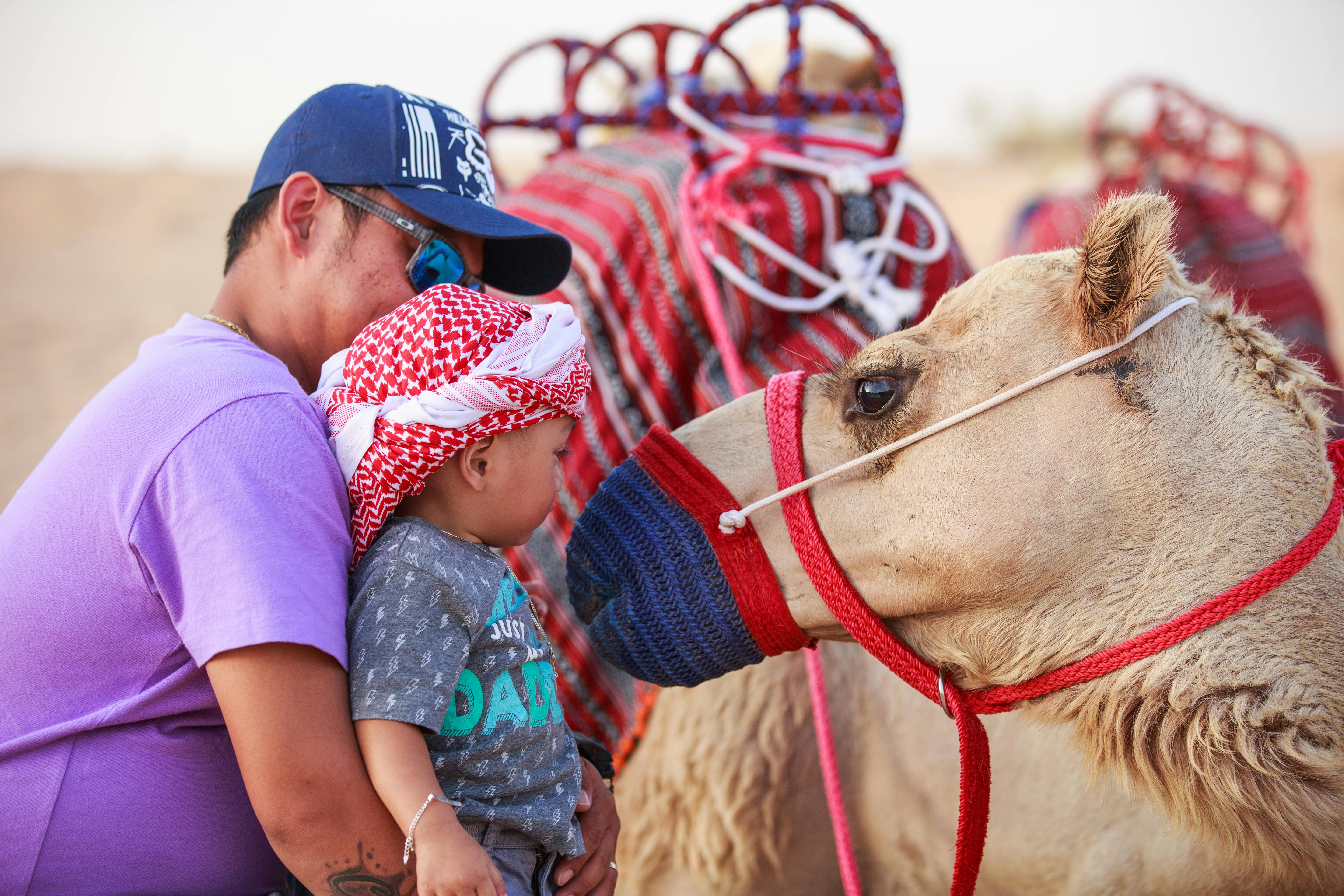 Heritage Camel Safari Price