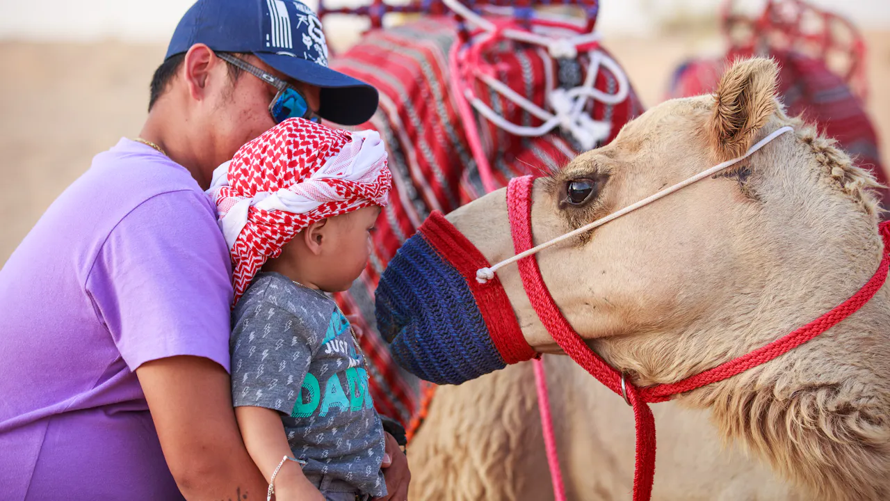 Heritage Camel Safari Price