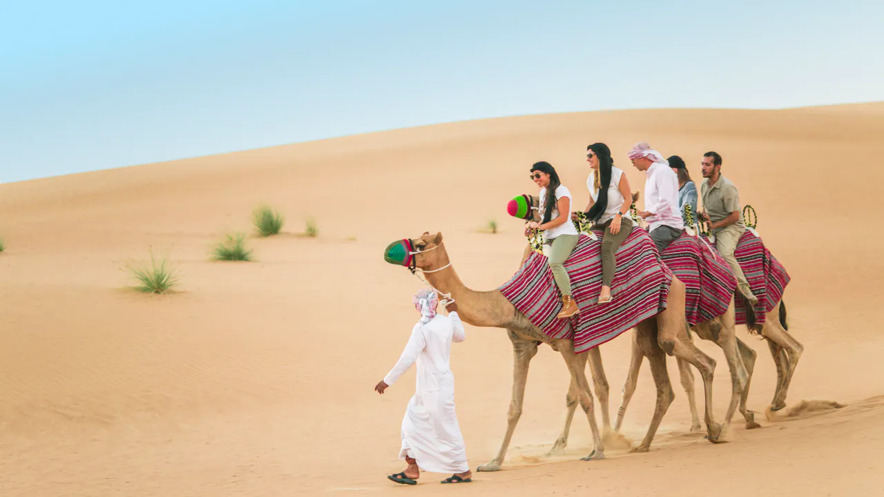 Heritage Camel Safari Category