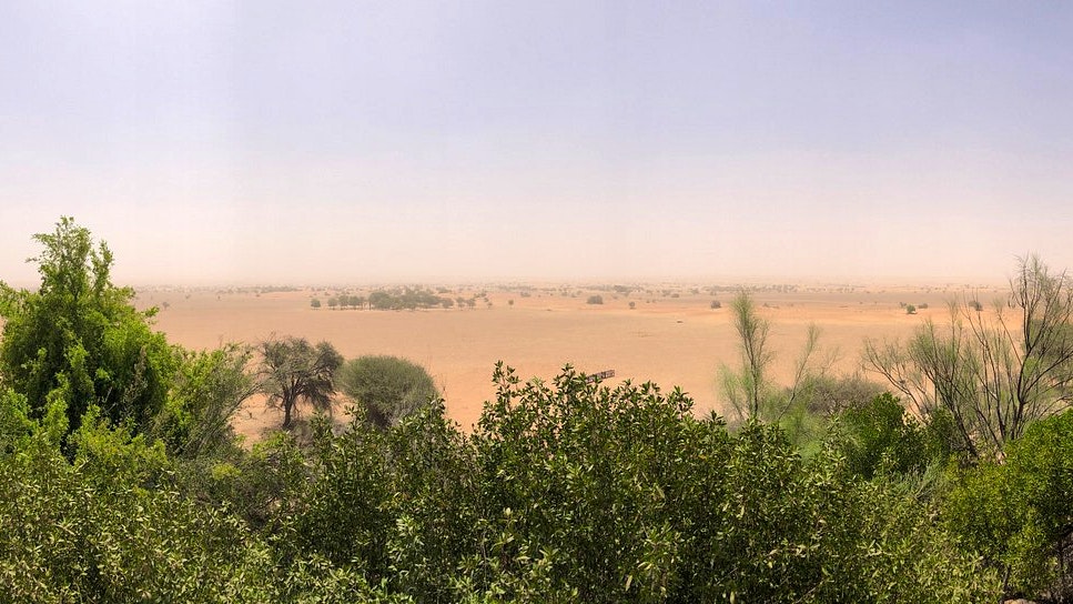 Platinum Heritage Desert Safari Location