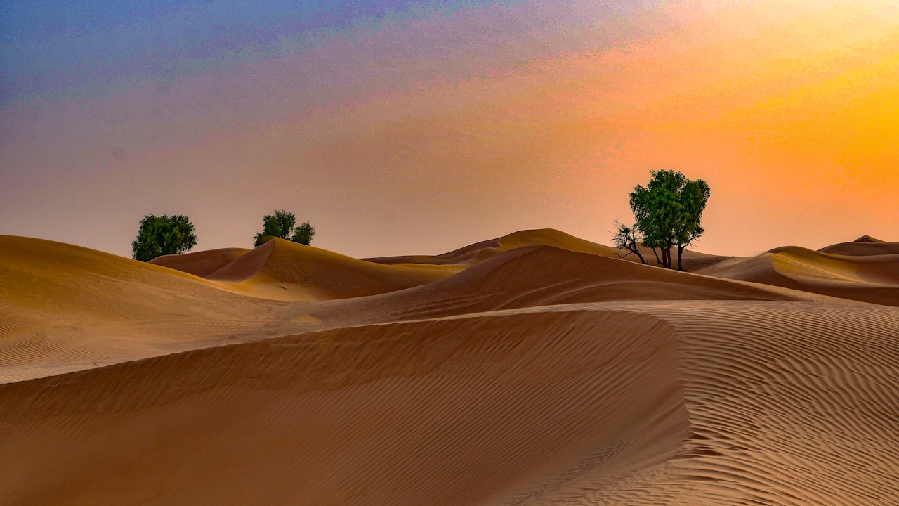 Sunrise Desert Safari with Wildlife Experience Category
