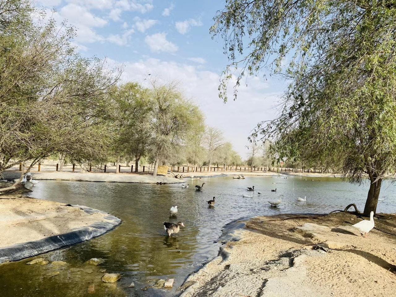 Sunrise Desert Safari with Wildlife Experience Location