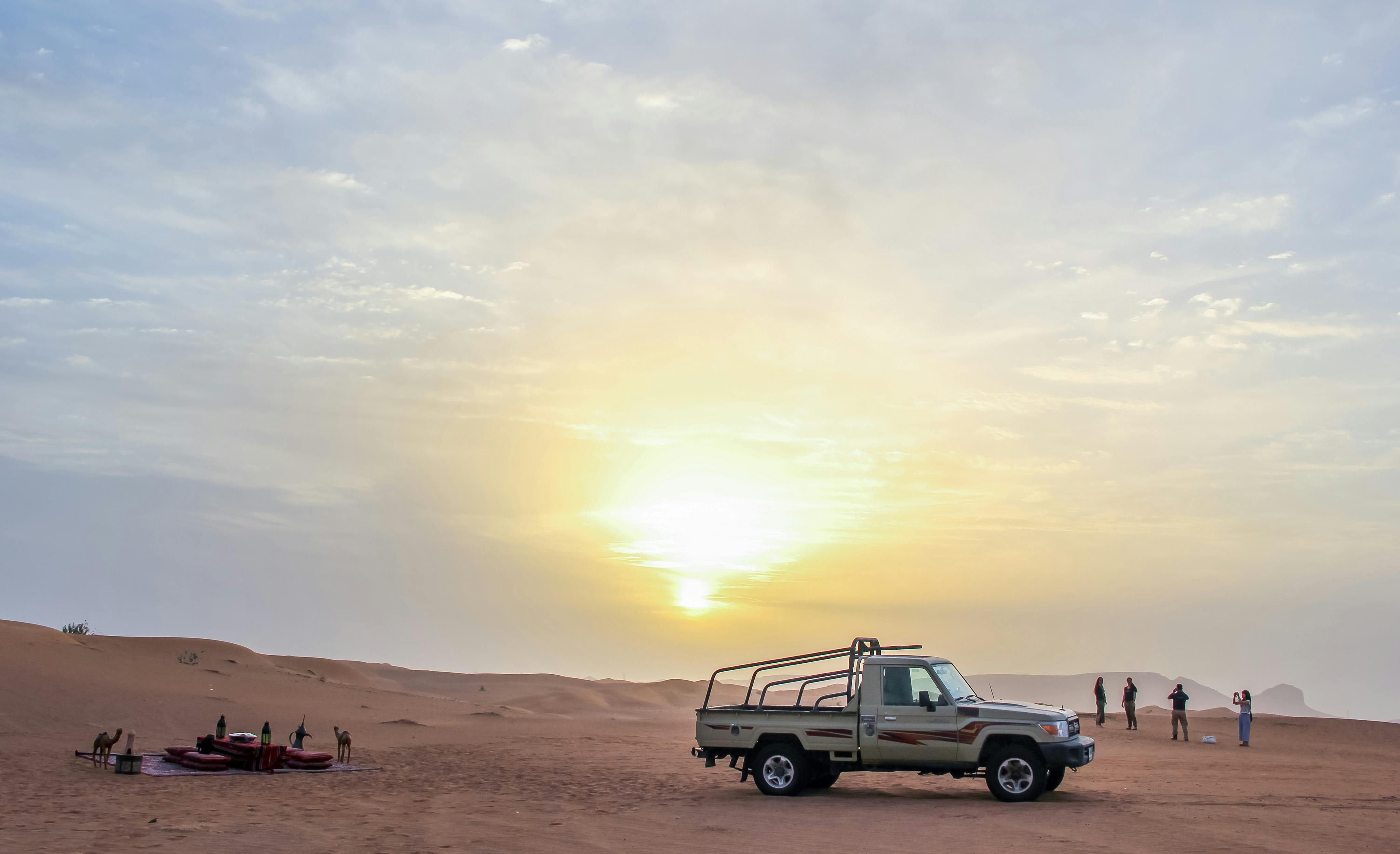 Sunrise Desert Safari with Wildlife Experience Price