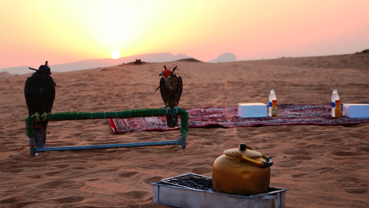 Sunrise Desert Safari with Wildlife Experience
