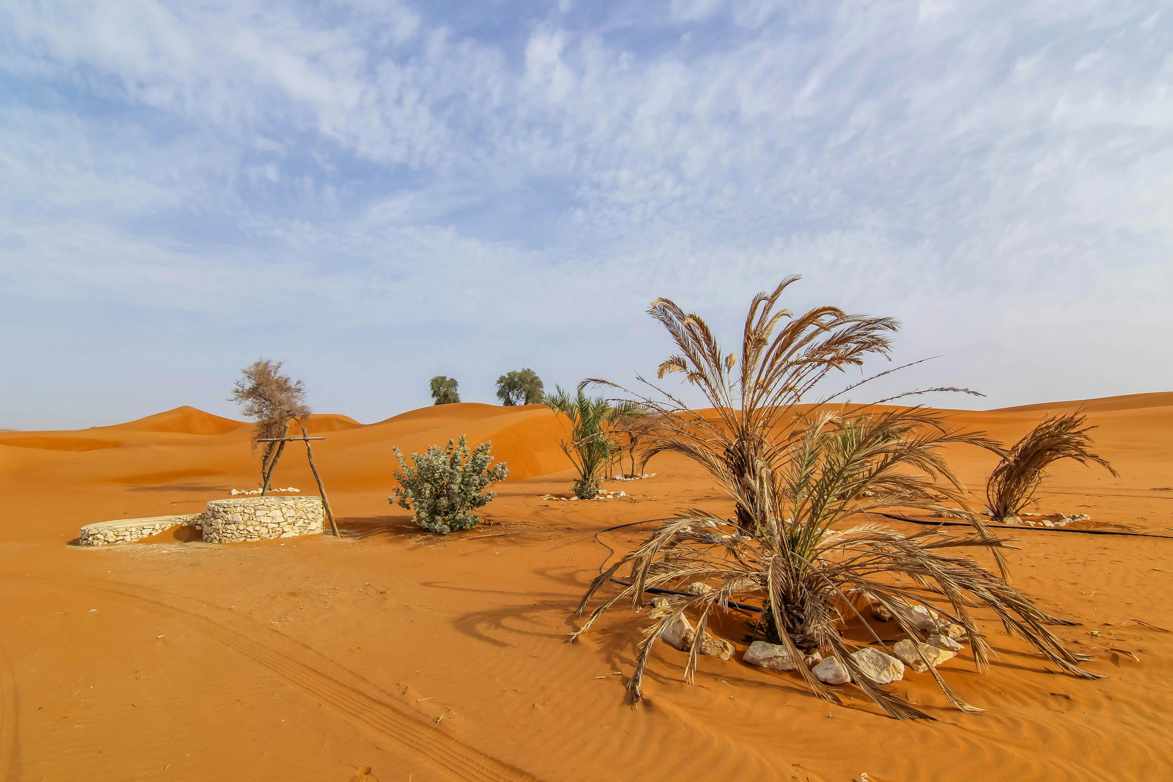 Hatta Safari with Honey Bee Garden visit  Location