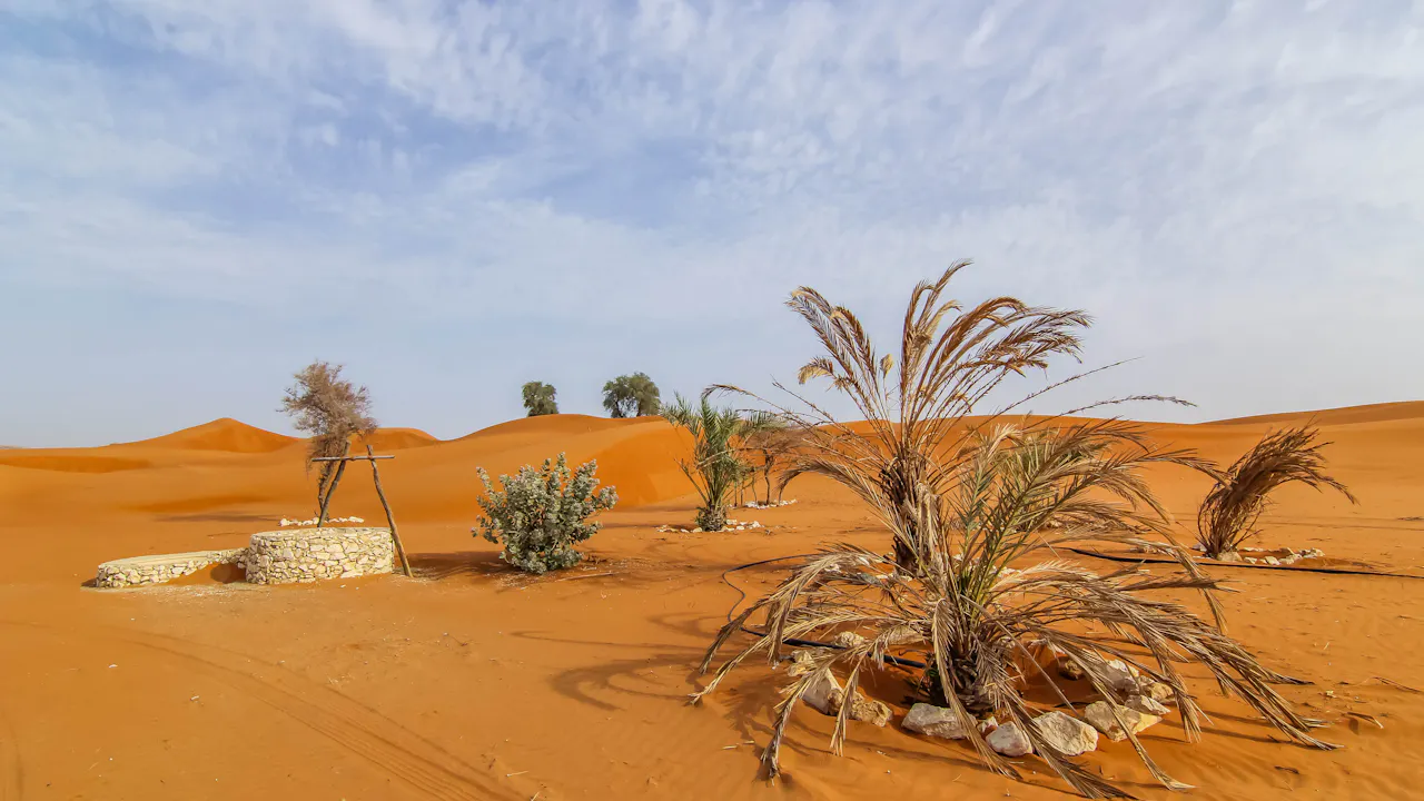 Hatta Safari with Honey Bee Garden visit Location