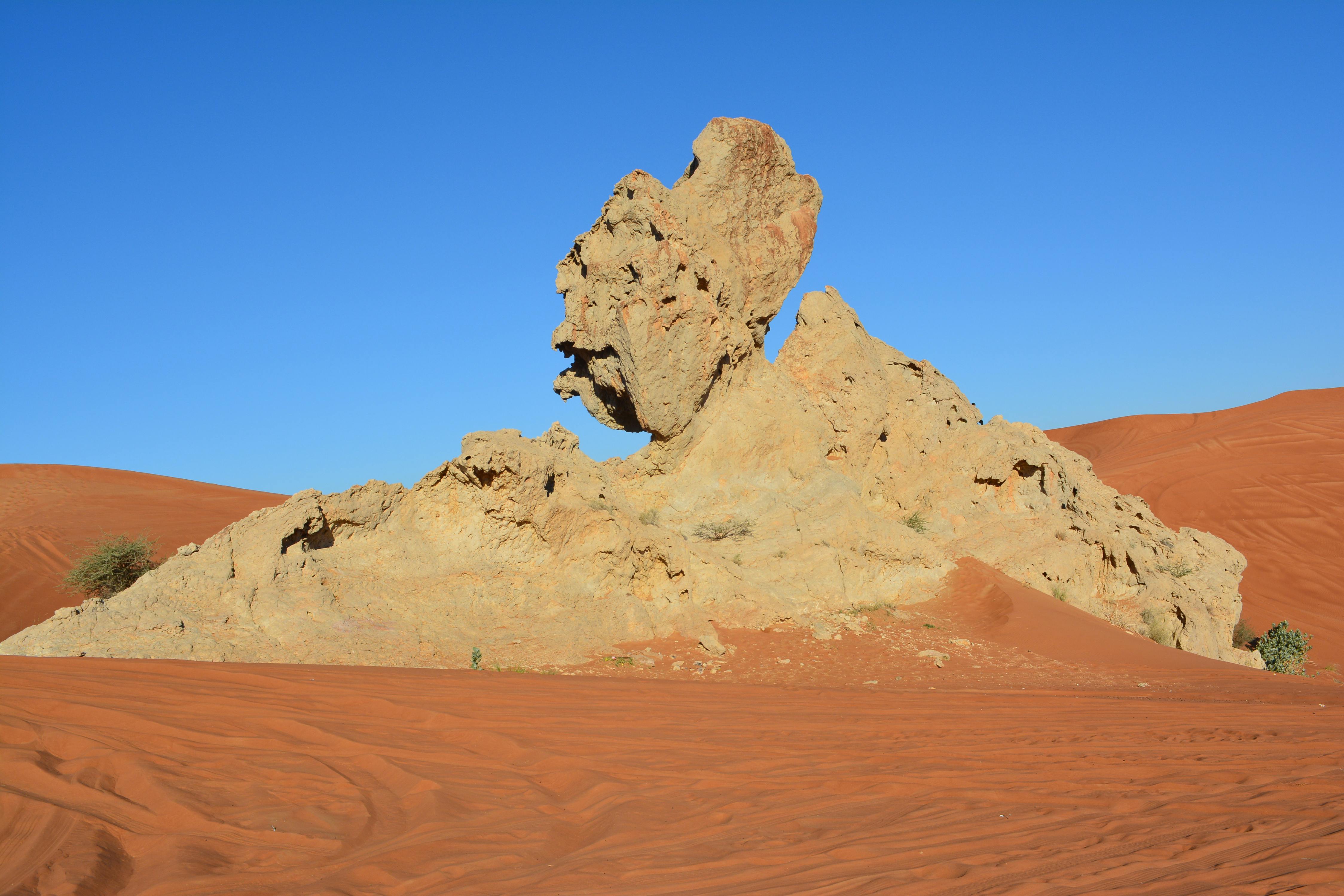 Hatta Safari with Honey Bee Garden visit  Category