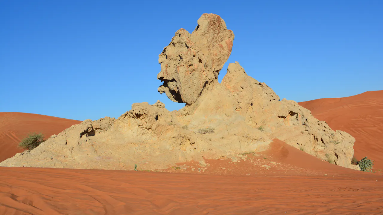 Hatta Safari with Honey Bee Garden visit Category