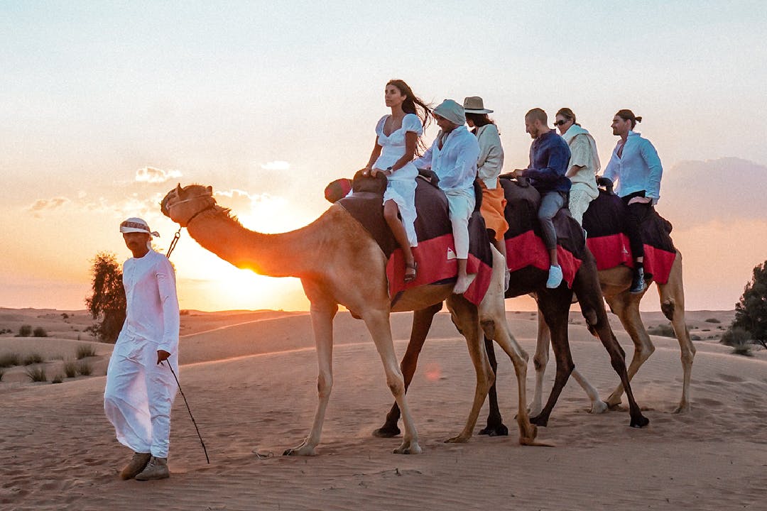 VIP Desert Safari with Shared Transfer Ticket